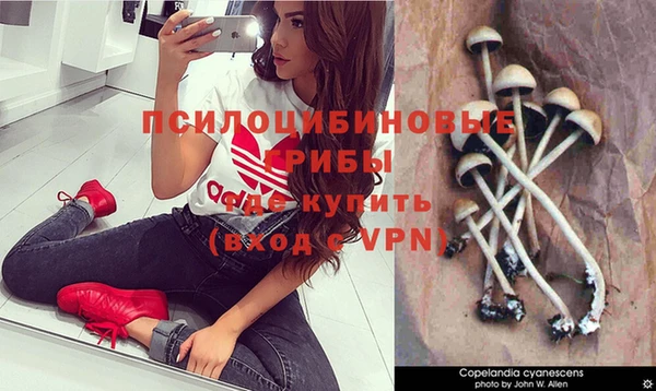 Альфа ПВП Зеленокумск