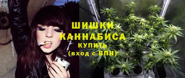ГАЛЛЮЦИНОГЕННЫЕ ГРИБЫ Зеленодольск