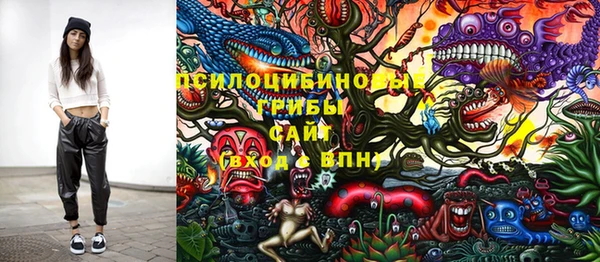 Альфа ПВП Зеленокумск
