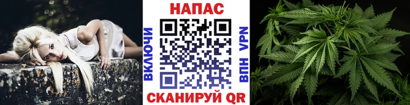 Каннабис сатива Купить где Калязин